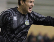 Geležiniai vartų sargai