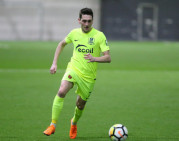 D. Česnauskis po šio sezono baigs profesionalo karjerą