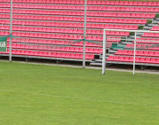 Ingrida Paškauskaitė: „Gera veja yra tarsi prekinis stadiono ženklas“