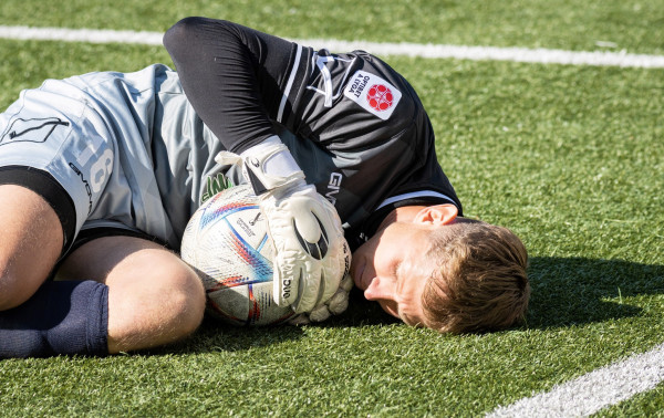 Turo rinktinėje išsiskiria dainaviečių gynybos atstovai