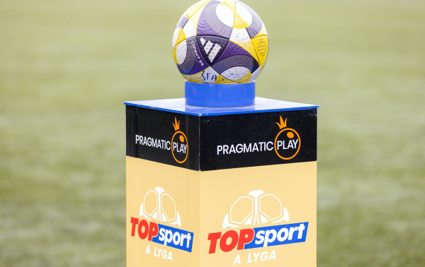 DFK „Dainava“ ir „Panevėžio“ mačas perkeltas iš Marijampolės