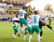 N. Stankevičius nutraukė „Kauno Žalgirio“ pergalių seriją